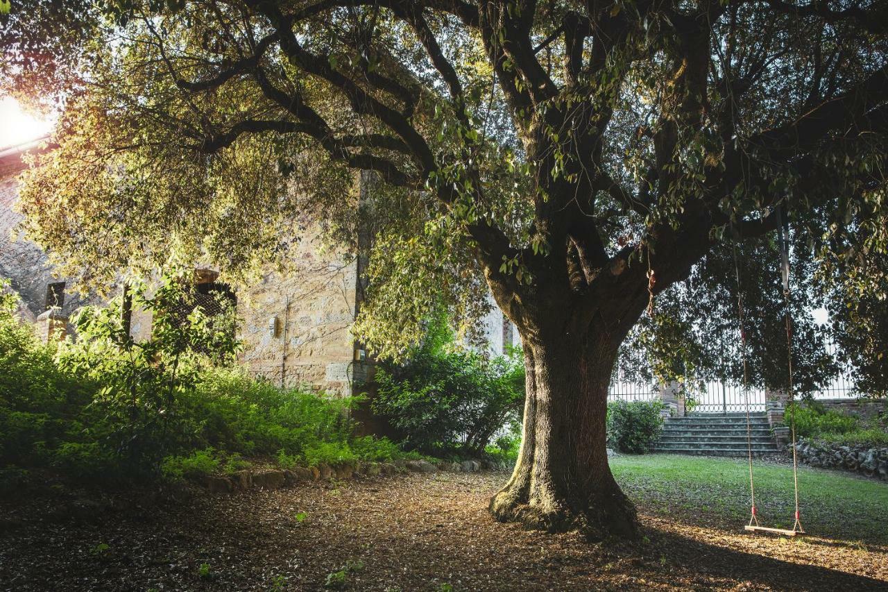 Cosona Villa Pienza Buitenkant foto
